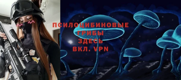 гидра Карпинск