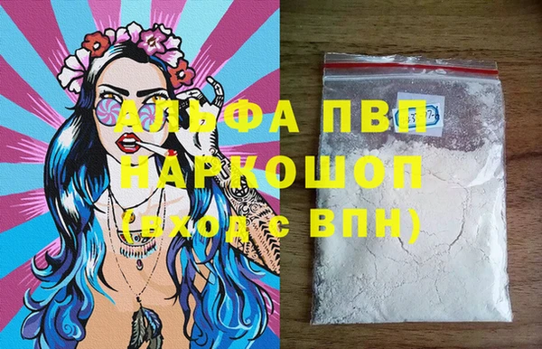 гидра Карпинск