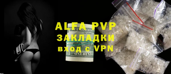 гидра Карпинск