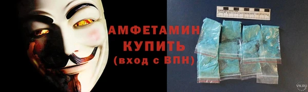 гидра Карпинск