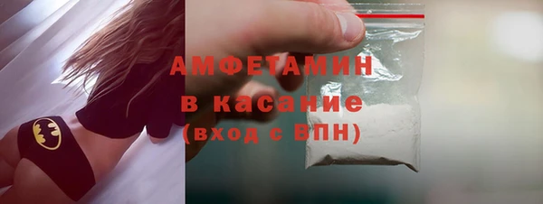 гидра Карпинск