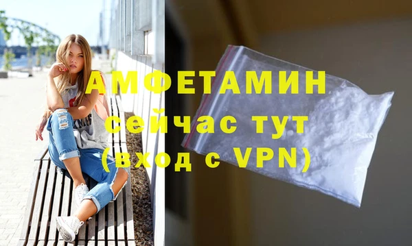 гидра Карпинск