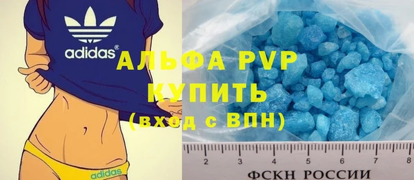 гидра Карпинск