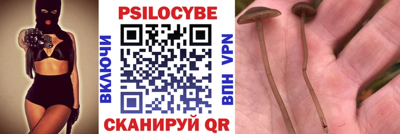 Псилоцибиновые грибы Psilocybine cubensis  Купить  Мантурово 